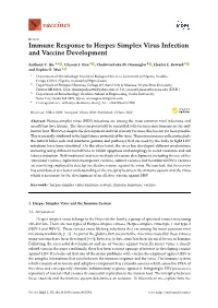 Immune Response to Herpes Simplex Virus Infection and Vaccine Development