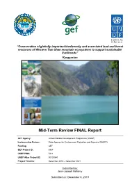 Mid-Term Review FINAL Report