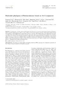 Molecular Phylogeny of Ranunculaceae Based on Rbc L Sequences