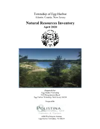Natural Resource Inventory 2020