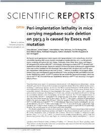 Peri-Implantation Lethality in Mice Carrying Megabase-Scale Deletion