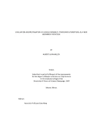 Evaluation and Propagation of Chinese Wingnut, Pterocarya Stenoptera, As a New Bioenergy Feedstock