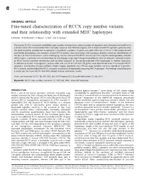 Fine-Tuned Characterization of RCCX Copy Number Variants and Their Relationship with Extended MHC Haplotypes