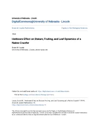 Herbivore Effect on Stature, Fruiting, and Leaf Dynamics of a Native Crucifer