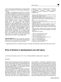 Role of Endog in Development and Cell Injury