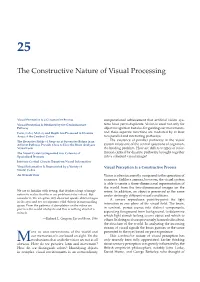 The Constructive Nature of Visual Processing