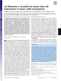 Α2-Chimaerin Is Essential for Neural Stem Cell Homeostasis in Mouse Adult Neurogenesis