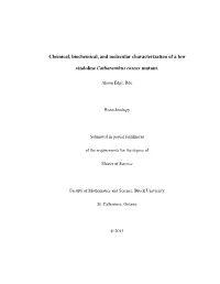 Chemical, Biochemical, and Molecular Characterization of a Low Vindoline