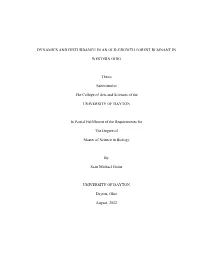 Dynamics and Disturbance in an Old-Growth Forest Remnant In