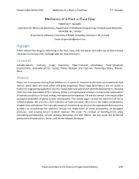 Mechanics of a Plant in Fluid Flow Highlight Keywords Abstract