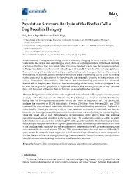 Population Structure Analysis of the Border Collie Dog Breed in Hungary