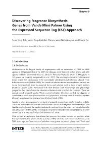 Discovering Fragrance Biosynthesis Genes from Vanda Mimi Palmer Using the Expressed Sequence Tag (EST) Approach