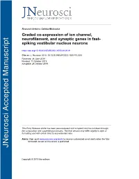 Graded Co-Expression of Ion Channel, Neurofilament, and Synaptic Genes in Fast- Spiking Vestibular Nucleus Neurons