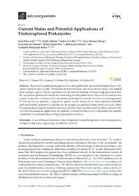 Current Status and Potential Applications of Underexplored Prokaryotes