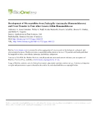 Development of Microsatellites from Fothergilla× Intermedia