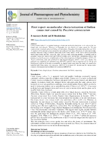 First Report on Molecular Characterization of Indian Canna
