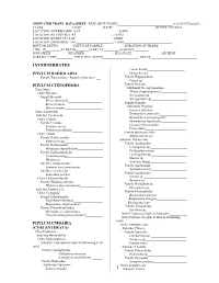 Midwater Data Sheet
