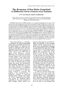 The Response of Star Ruby Grapefruit to Different Citrus Tristeza Virus Isolates