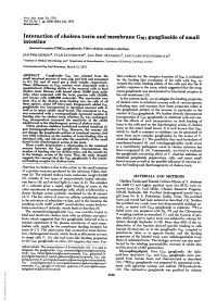 Interaction of Cholera Toxin and Membrane GM1 Ganglioside of Small Intestine