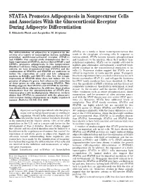 STAT5A Promotes Adipogenesis in Nonprecursor Cells and Associates with the Glucocorticoid Receptor During Adipocyte Differentiation Z