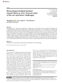 Generating Intrafusal Skeletal Muscle Fibres in Vitro