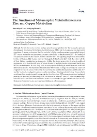 The Functions of Metamorphic Metallothioneins in Zinc and Copper Metabolism