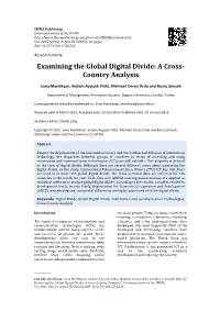Examining the Global Digital Divide: a Cross- Country Analysis