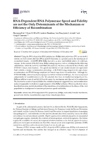 RNA-Dependent RNA Polymerase Speed and Fidelity Are Not the Only Determinants of the Mechanism Or Eﬃciency of Recombination