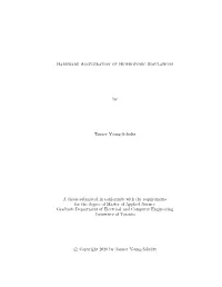Hardware Acceleration of Biophotonic Simulations by Tanner Young