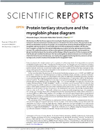 Protein Tertiary Structure and the Myoglobin Phase Diagram Alexander Begun1, Alexander Molochkov1 & Antti J