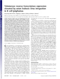 Telomerase Reverse Transcriptase Expression Elevated by Avian Leukosis Virus Integration in B Cell Lymphomas