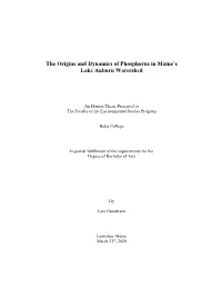 The Origins and Dynamics of Phosphorus in Maine's Lake