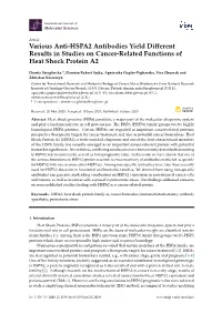 Various Anti-HSPA2 Antibodies Yield Different Results in Studies On