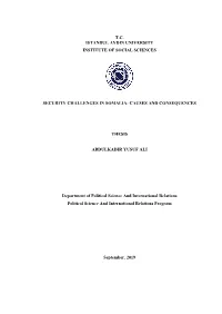 Causes and Consequences Thesis Abdul