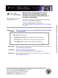 Identification of Stage-Specific Surface Markers in Early B Cell