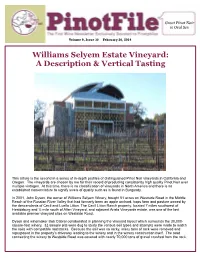 Pinotfile Vol 9 Issue 38