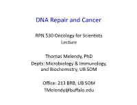 RPN530 DNA Repair Slides with Notes 2014.Pptx