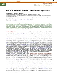 The SUN Rises on Meiotic Chromosome Dynamics