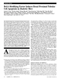 Bcl-2–Modifying Factor Induces Renal Proximal Tubular Cell Apoptosis in Diabetic Mice Garnet J