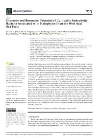 Diversity and Biocontrol Potential of Cultivable Endophytic Bacteria Associated with Halophytes from the West Aral Sea Basin
