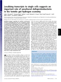 Localizing Transcripts to Single Cells Suggests an Important Role of Uncultured Deltaproteobacteria in the Termite Gut Hydrogen Economy