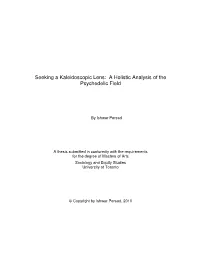 A Holistic Analysis of the Psychedelic Field