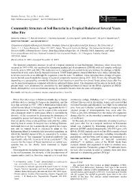 Community Structure of Soil Bacteria in a Tropical Rainforest Several Years After Fire