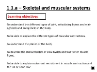 1.1.A – Skeletal and Muscular Systems