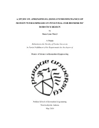 A STUDY on APHONOPELMA SEEMANNI BIOMECHANICS of MOTION with EMPHASIS on POTENTIAL for BIOMIMETIC ROBOTICS DESIGN by Dana Lynn Moryl