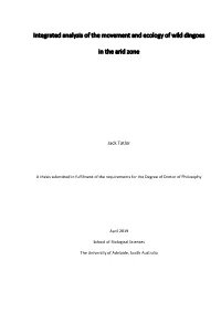 Integrated Analysis of the Movement and Ecology of Wild Dingoes in The