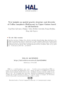 New Insights on Spatial Genetic Structure and Diversity of Coffea Canephora