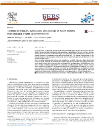 Targeted Expression, Purification, and Cleavage of Fusion Proteins From