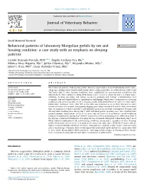 Behavioral Patterns of Laboratory Mongolian Gerbils by Sex and Housing Condition: a Case Study with an Emphasis on Sleeping Patterns