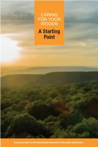 Caring for Your Woods: a Starting Point